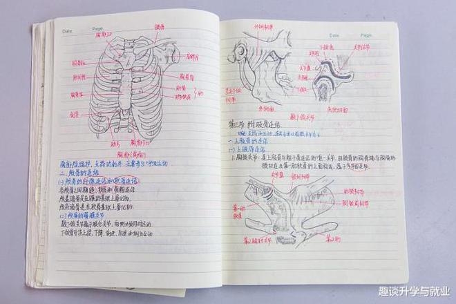 乐鱼电竞学霸常用的3种高效进修手段学渣无法意会值得中等考生模仿(图3)