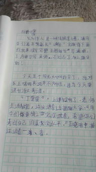 作文写什么乐鱼电竞题材簇新