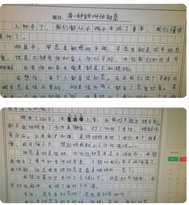 乐鱼电竞学生作文《我和芙宁娜》得分引热议教授程序差别网友不服(图2)